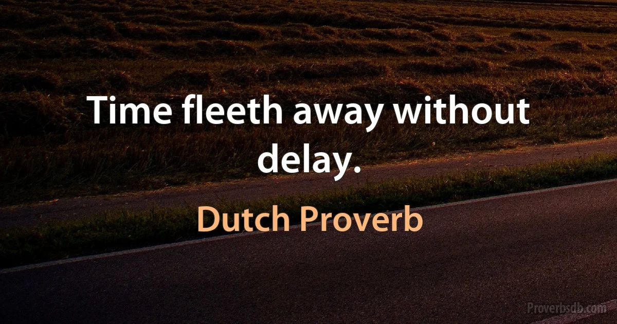 Time fleeth away without delay. (Dutch Proverb)