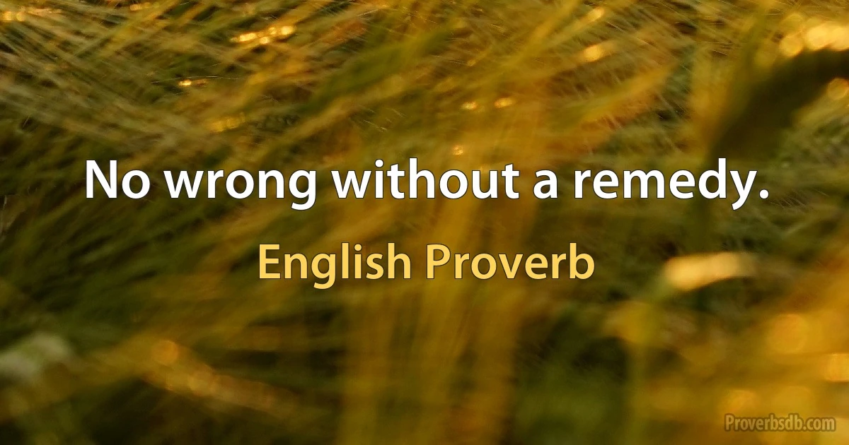 No wrong without a remedy. (English Proverb)