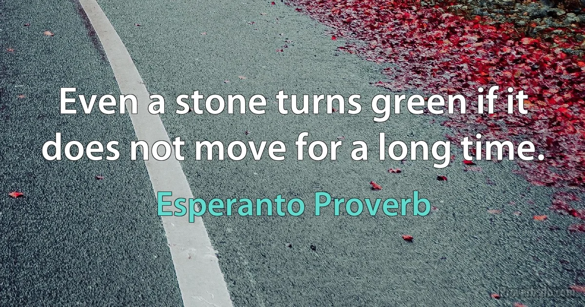 Even a stone turns green if it does not move for a long time. (Esperanto Proverb)