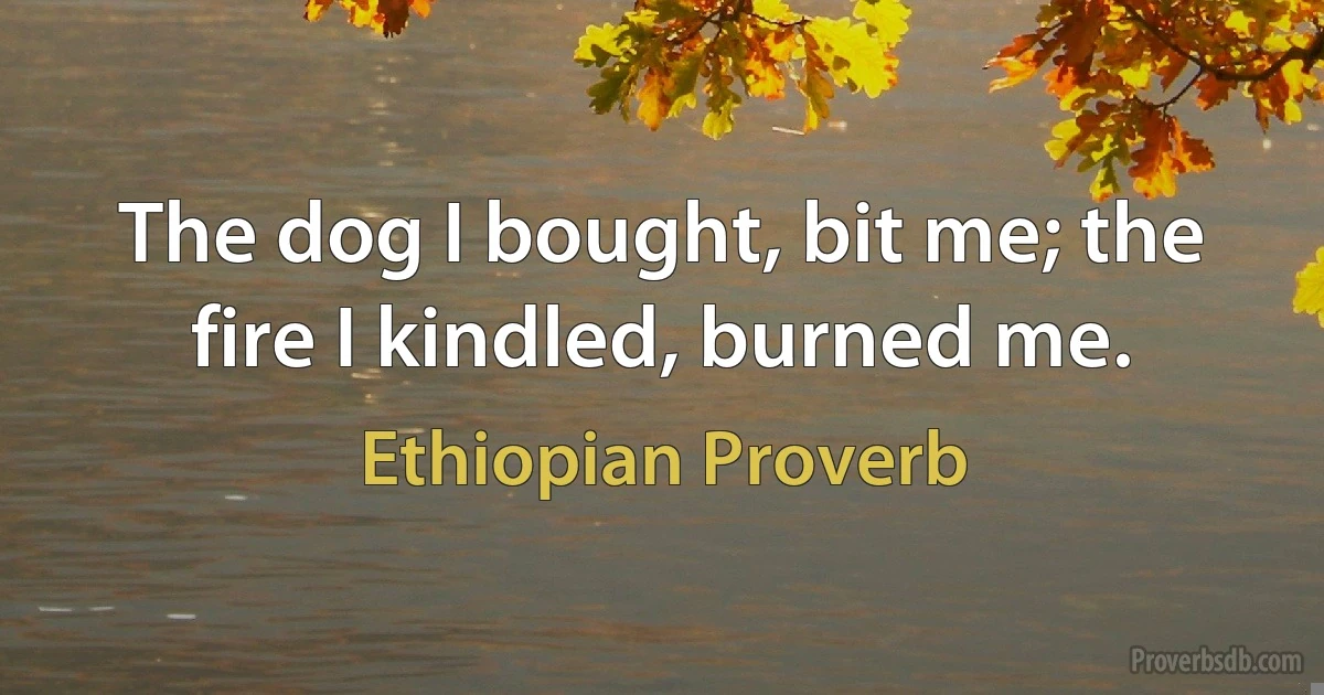 The dog I bought, bit me; the fire I kindled, burned me. (Ethiopian Proverb)