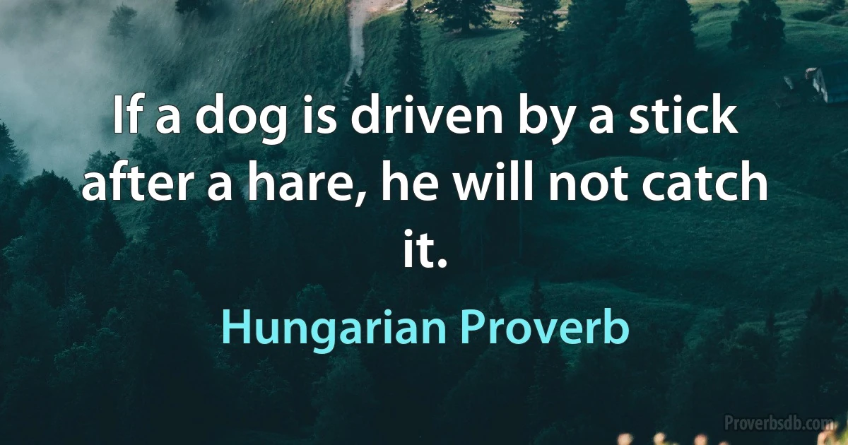 If a dog is driven by a stick after a hare, he will not catch it. (Hungarian Proverb)