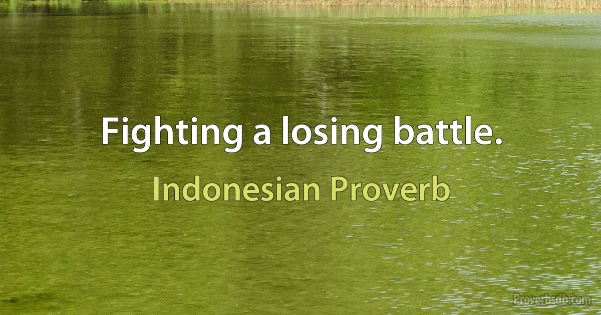 Fighting a losing battle. (Indonesian Proverb)