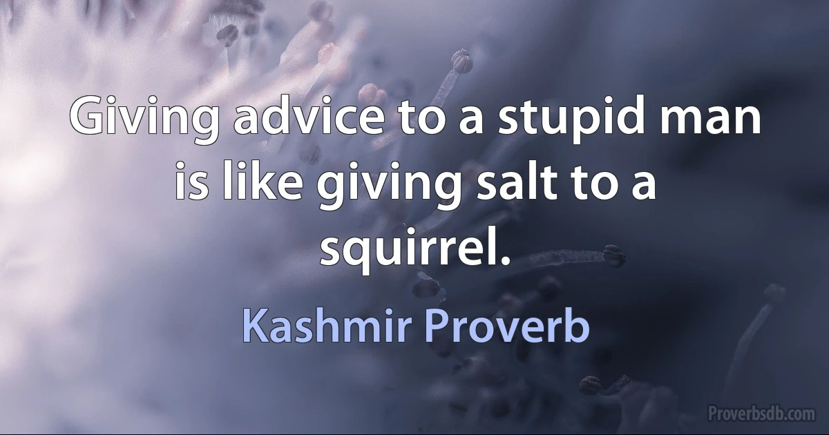 Giving advice to a stupid man is like giving salt to a squirrel. (Kashmir Proverb)