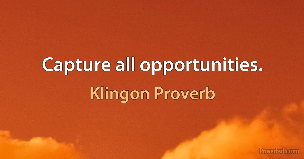 Capture all opportunities. (Klingon Proverb)