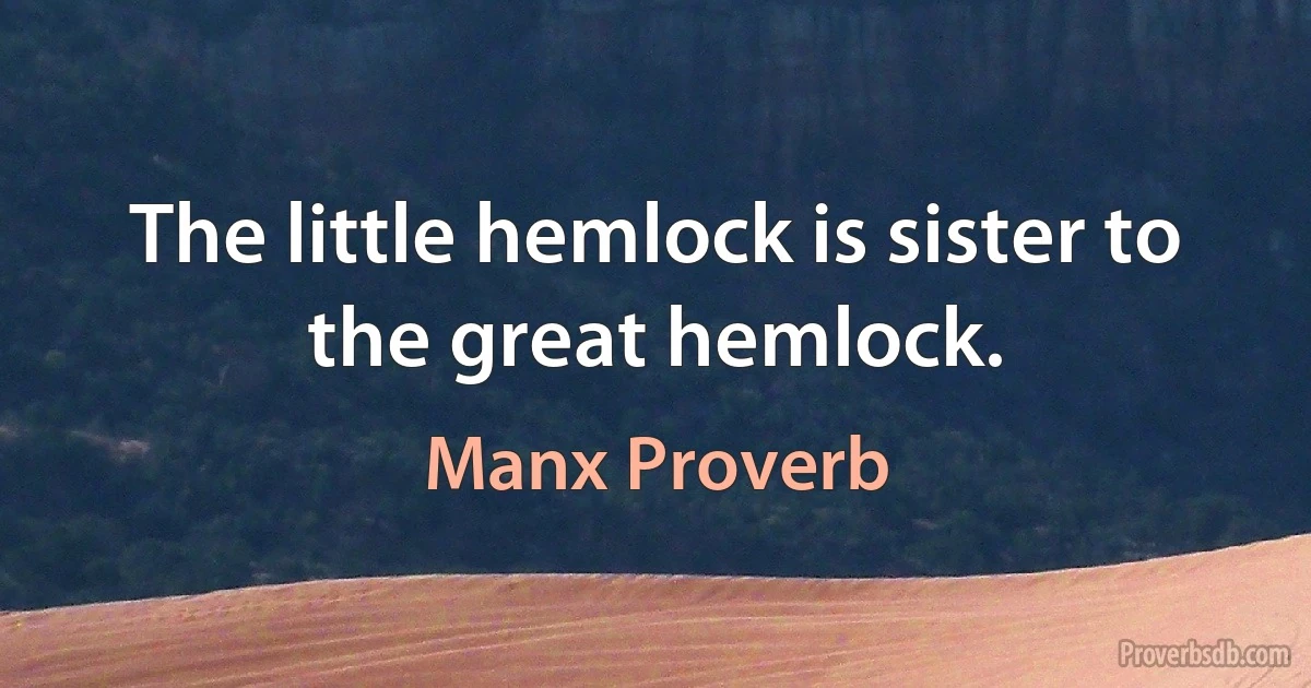 The little hemlock is sister to the great hemlock. (Manx Proverb)