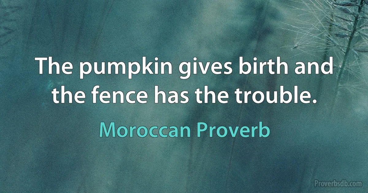 The pumpkin gives birth and the fence has the trouble. (Moroccan Proverb)