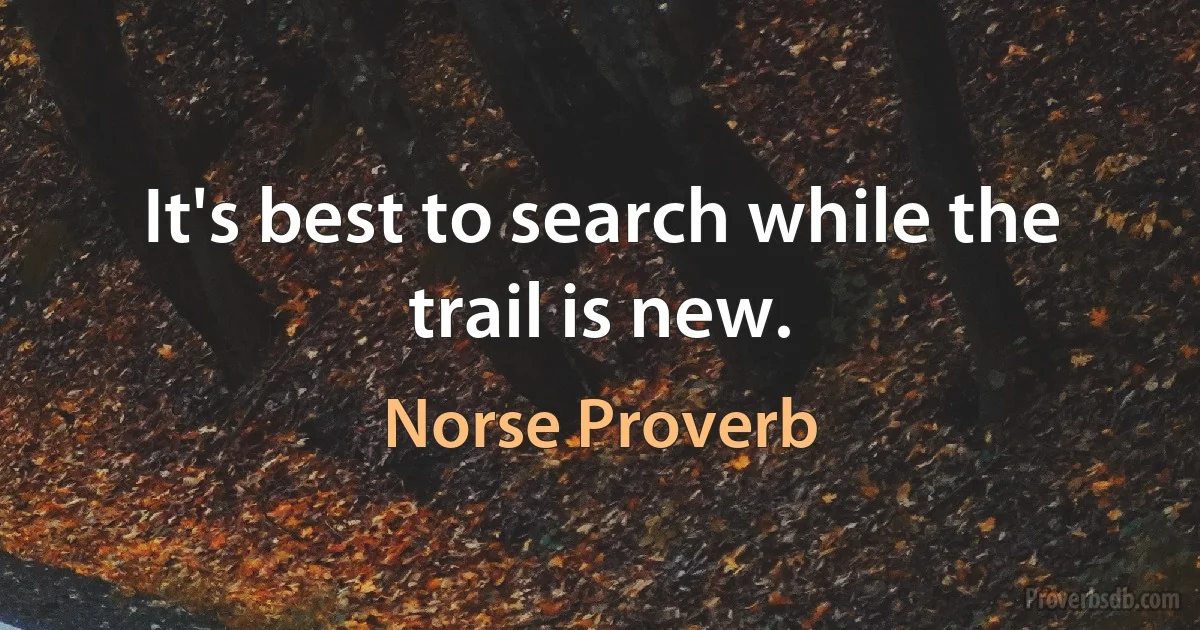 It's best to search while the trail is new. (Norse Proverb)