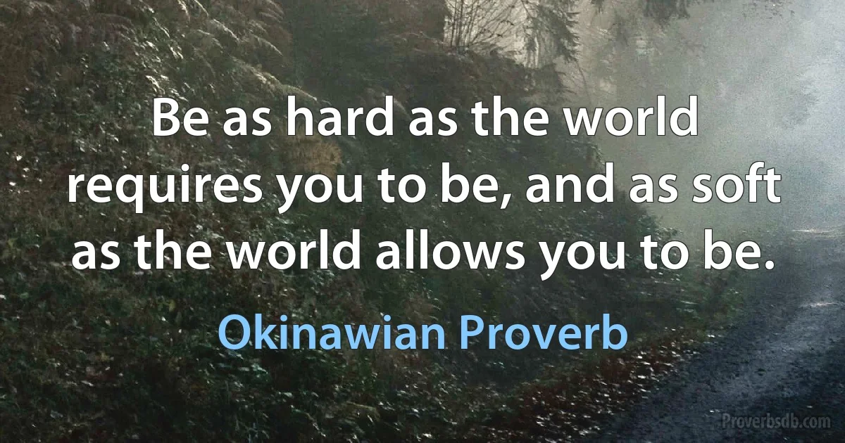 Be as hard as the world requires you to be, and as soft as the world allows you to be. (Okinawian Proverb)