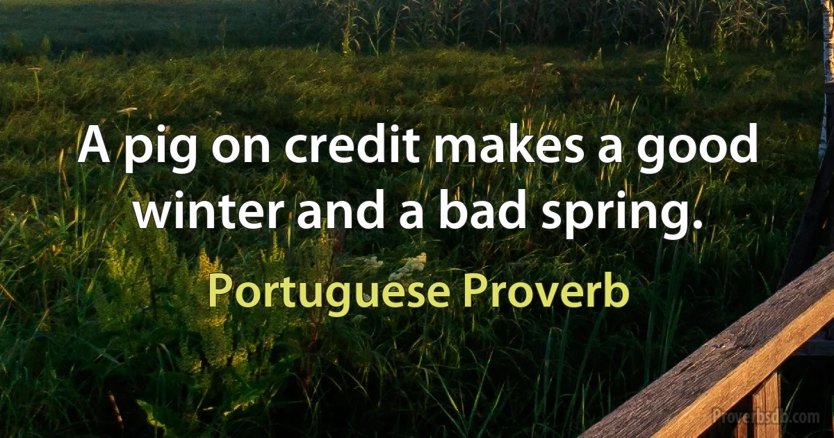 A pig on credit makes a good winter and a bad spring. (Portuguese Proverb)