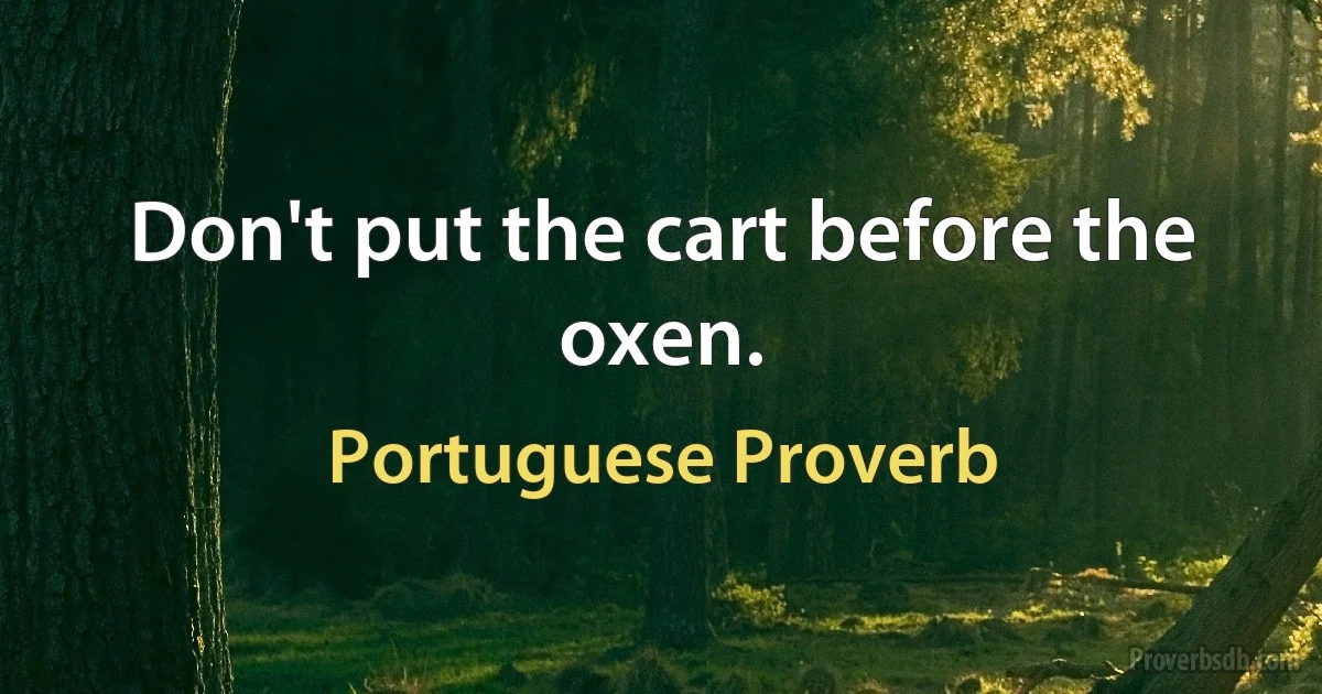 Don't put the cart before the oxen. (Portuguese Proverb)