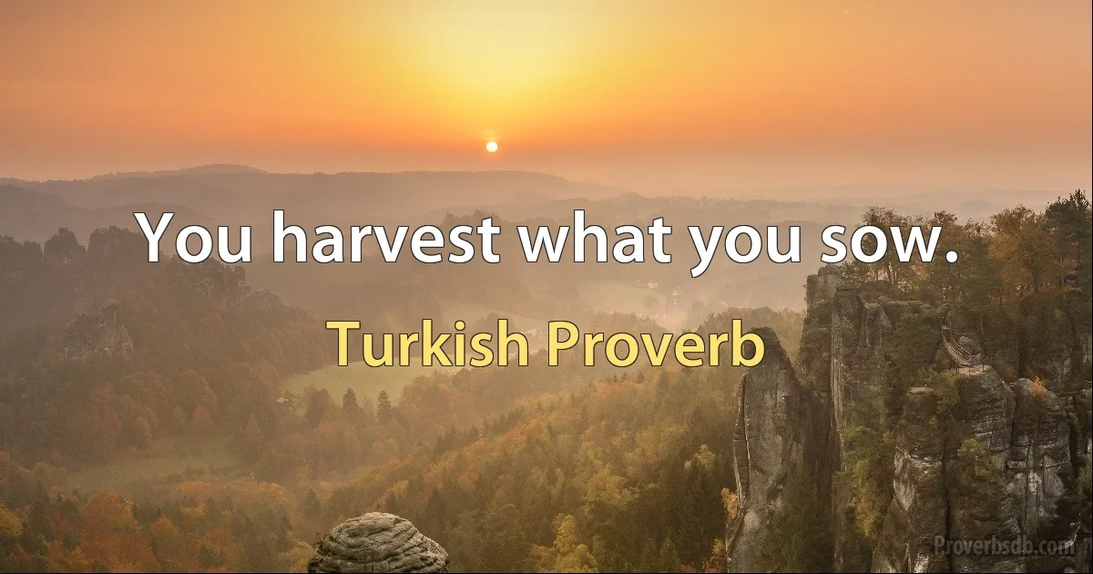 You harvest what you sow. (Turkish Proverb)