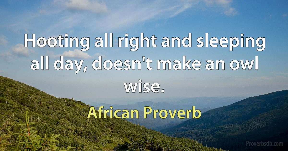 Hooting all right and sleeping all day, doesn't make an owl wise. (African Proverb)