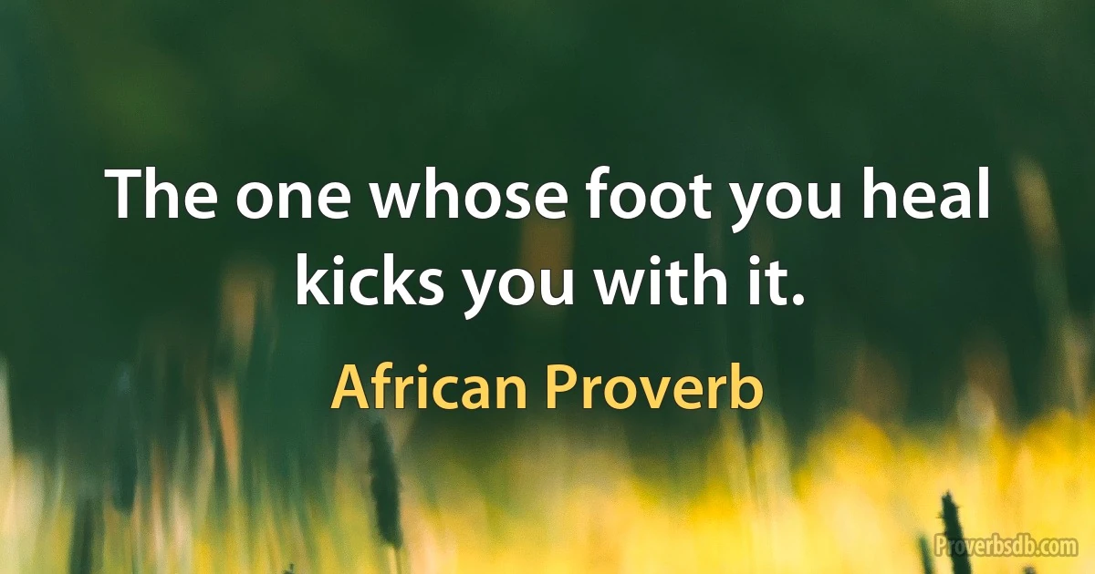 The one whose foot you heal kicks you with it. (African Proverb)