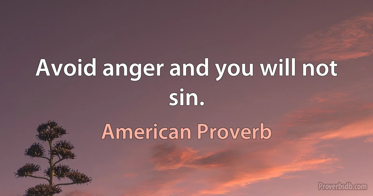 Avoid anger and you will not sin. (American Proverb)