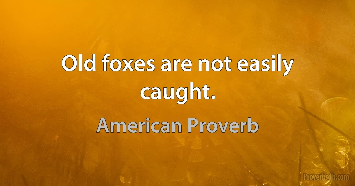 Old foxes are not easily caught. (American Proverb)