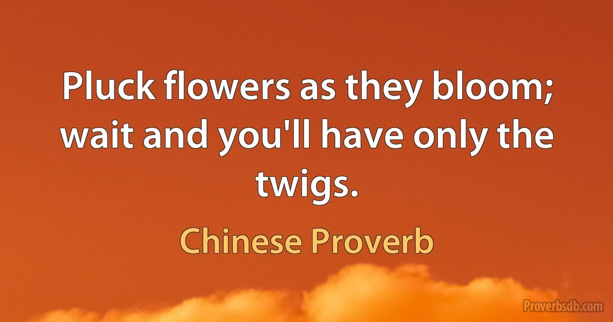 Pluck flowers as they bloom; wait and you'll have only the twigs. (Chinese Proverb)