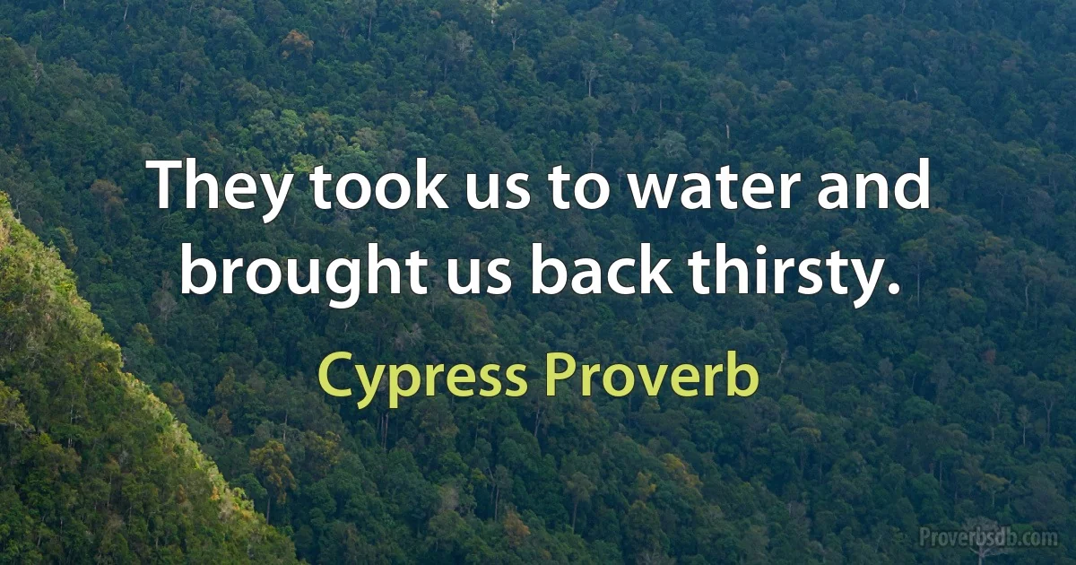 They took us to water and brought us back thirsty. (Cypress Proverb)