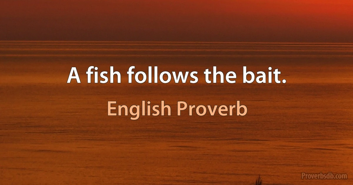 A fish follows the bait. (English Proverb)