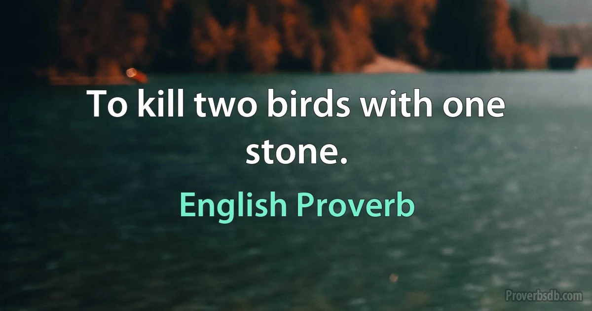 To kill two birds with one stone. (English Proverb)