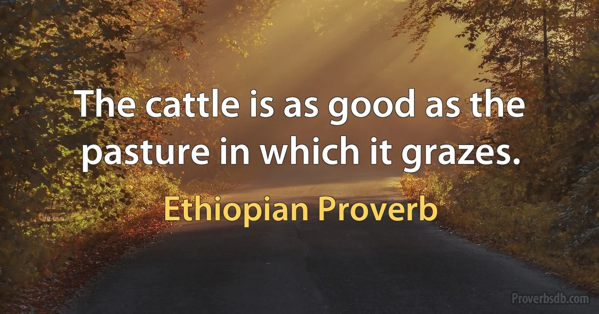 The cattle is as good as the pasture in which it grazes. (Ethiopian Proverb)