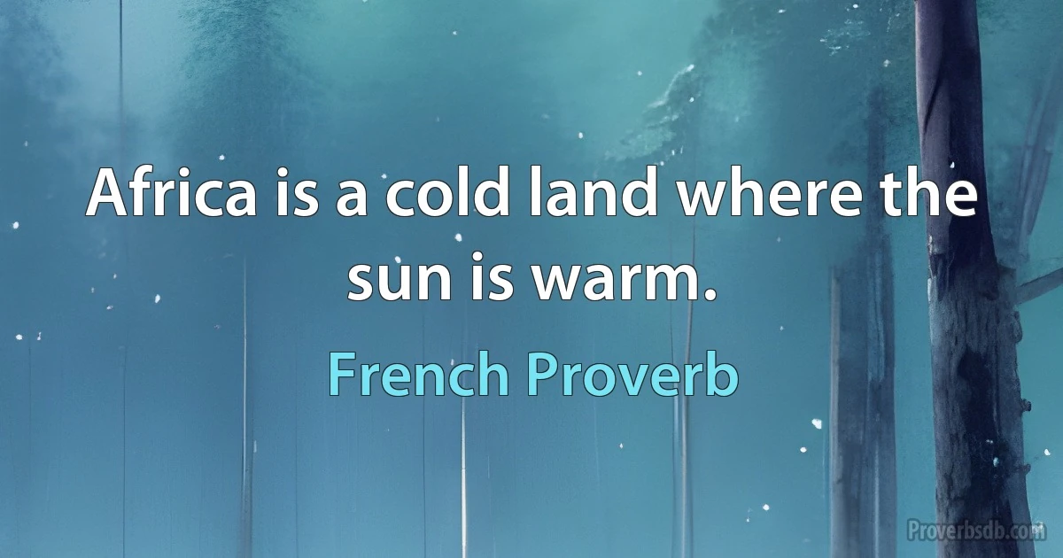 Africa is a cold land where the sun is warm. (French Proverb)