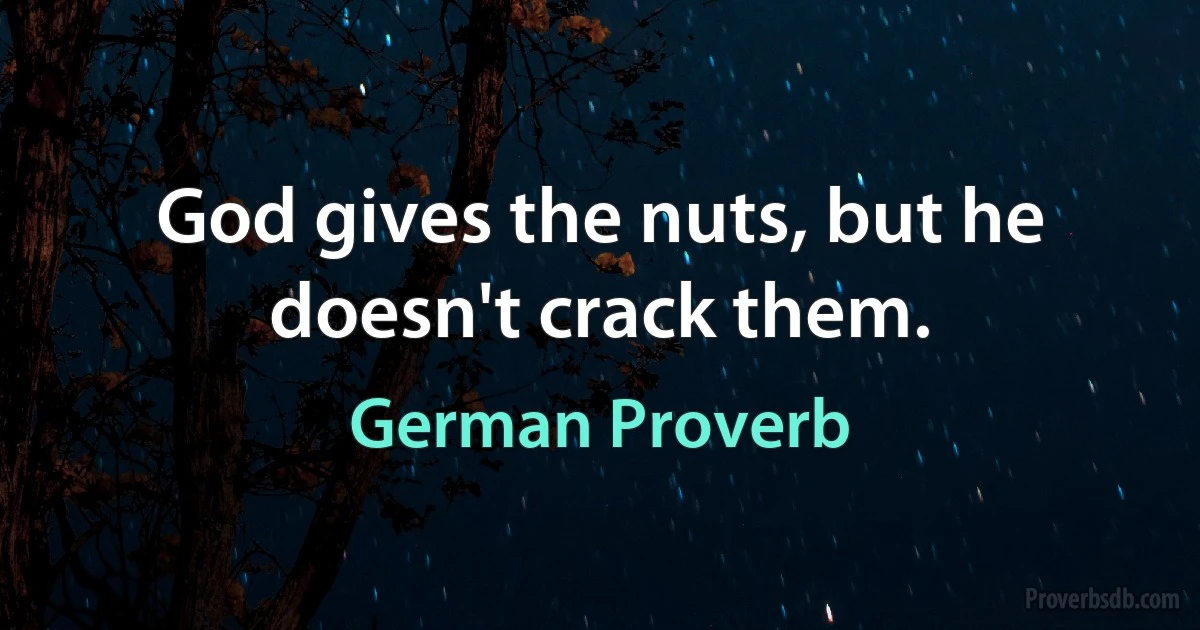 God gives the nuts, but he doesn't crack them. (German Proverb)