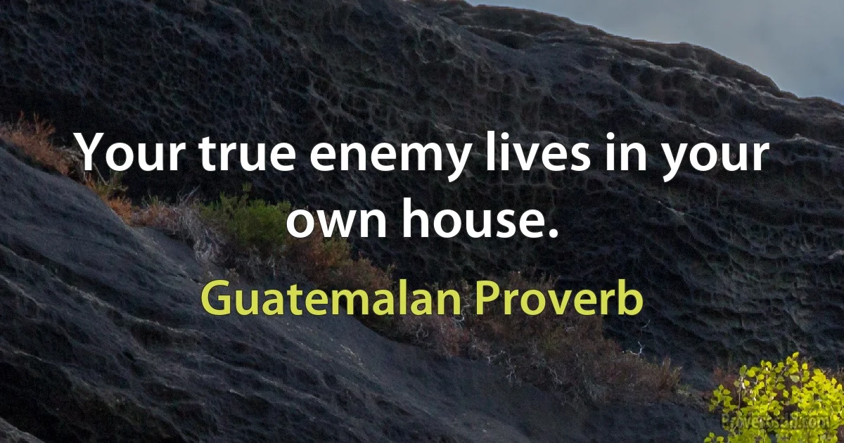 Your true enemy lives in your own house. (Guatemalan Proverb)