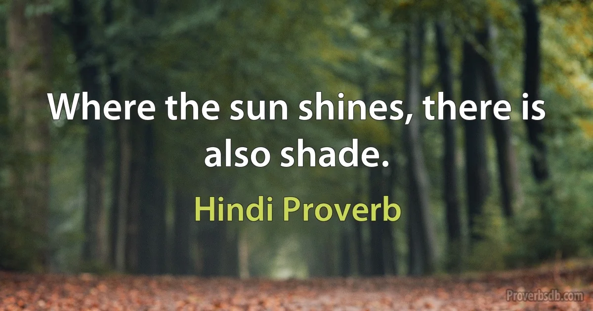 Where the sun shines, there is also shade. (Hindi Proverb)