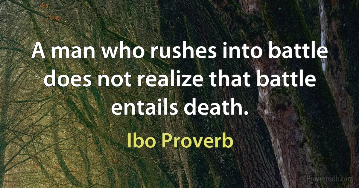 A man who rushes into battle does not realize that battle entails death. (Ibo Proverb)