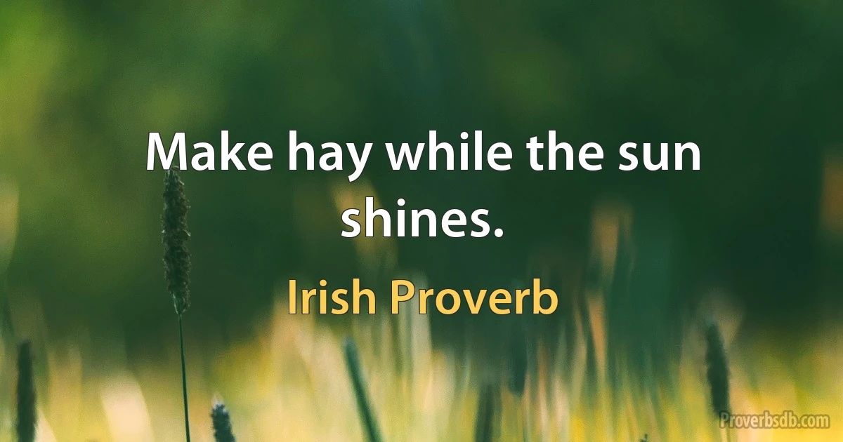 Make hay while the sun shines. (Irish Proverb)