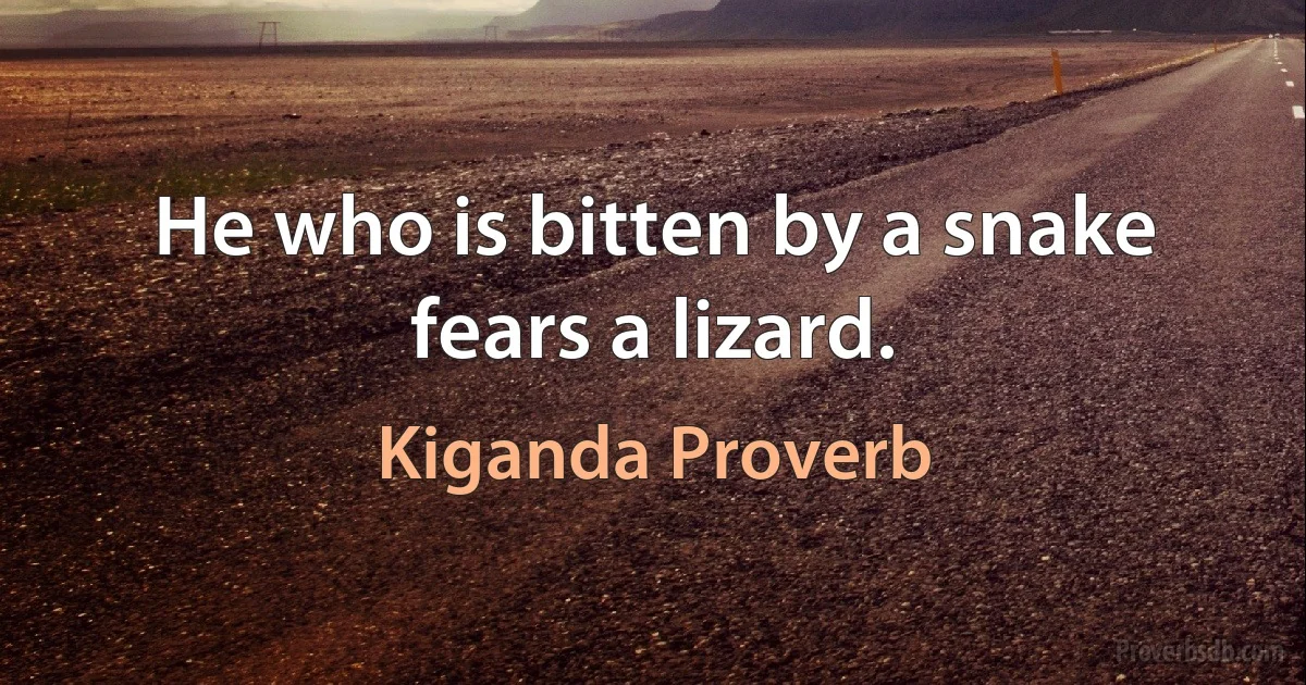 He who is bitten by a snake fears a lizard. (Kiganda Proverb)