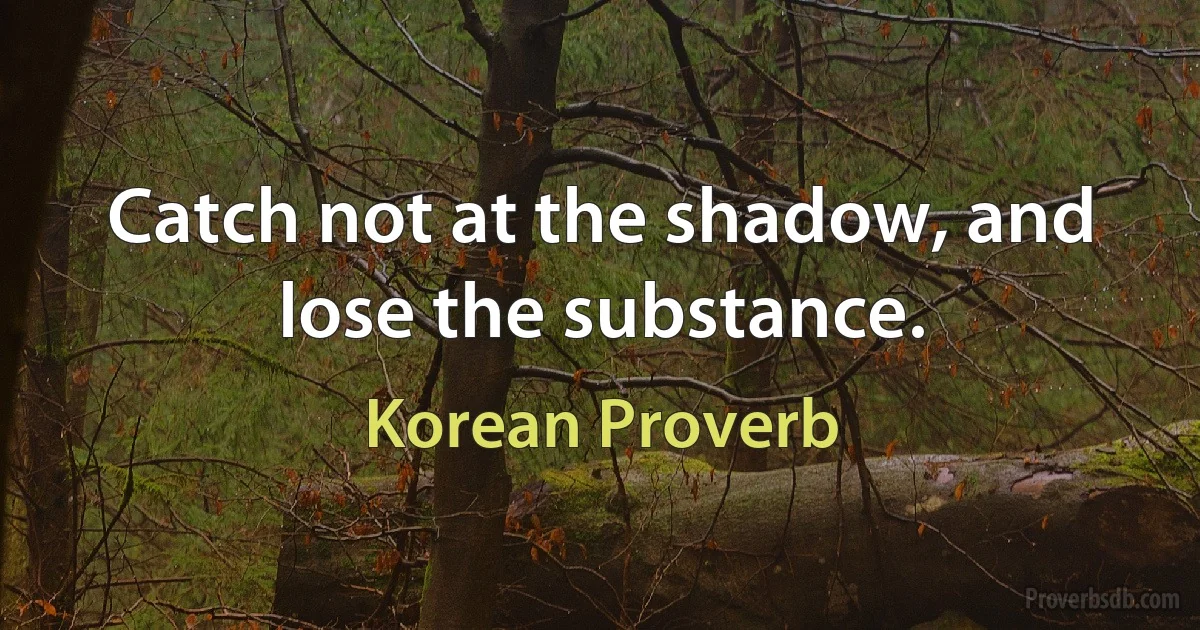 Catch not at the shadow, and lose the substance. (Korean Proverb)