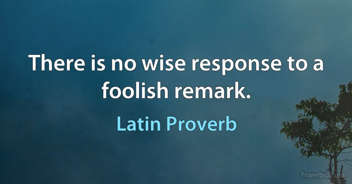 There is no wise response to a foolish remark. (Latin Proverb)