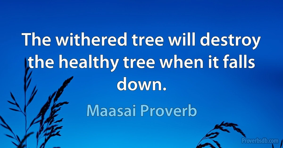 The withered tree will destroy the healthy tree when it falls down. (Maasai Proverb)