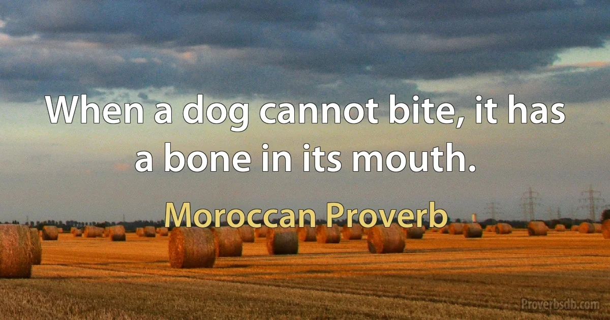 When a dog cannot bite, it has a bone in its mouth. (Moroccan Proverb)