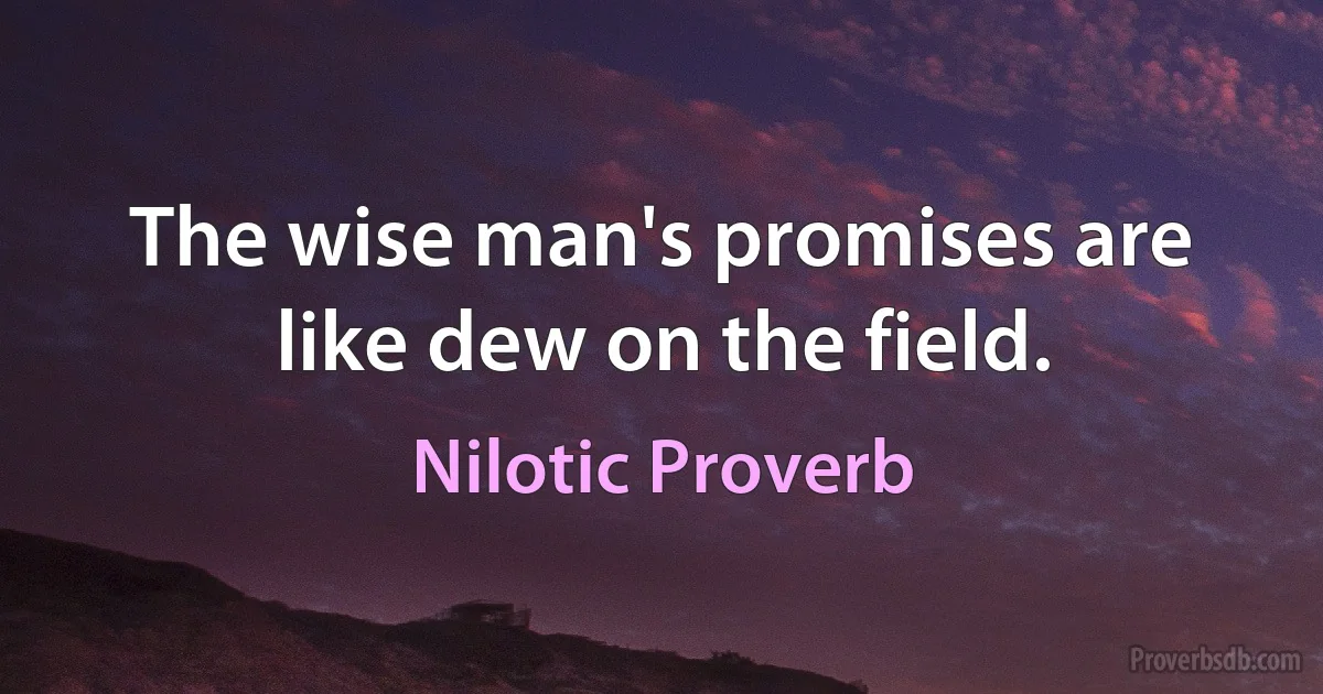 The wise man's promises are like dew on the field. (Nilotic Proverb)