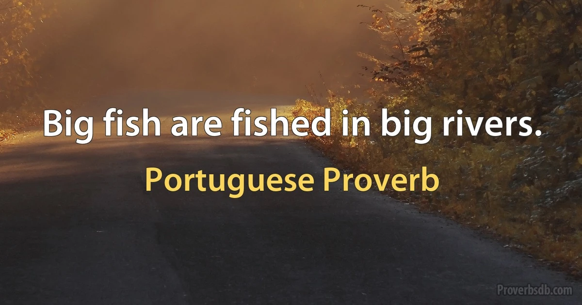 Big fish are fished in big rivers. (Portuguese Proverb)