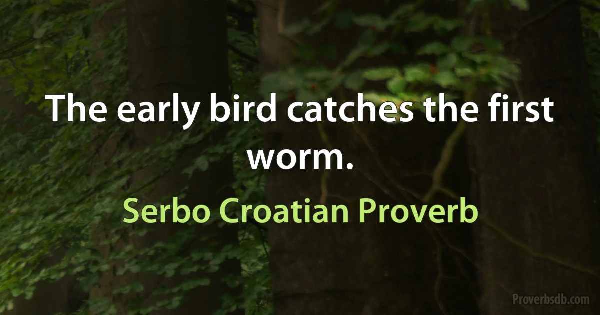 The early bird catches the first worm. (Serbo Croatian Proverb)