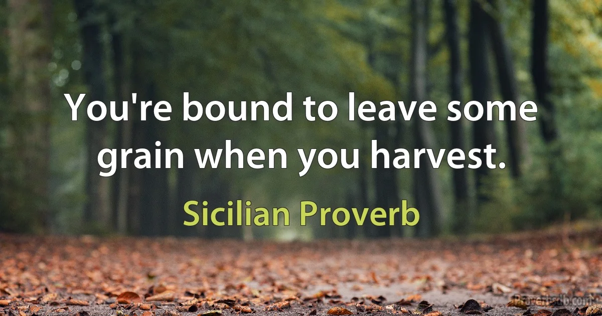 You're bound to leave some grain when you harvest. (Sicilian Proverb)