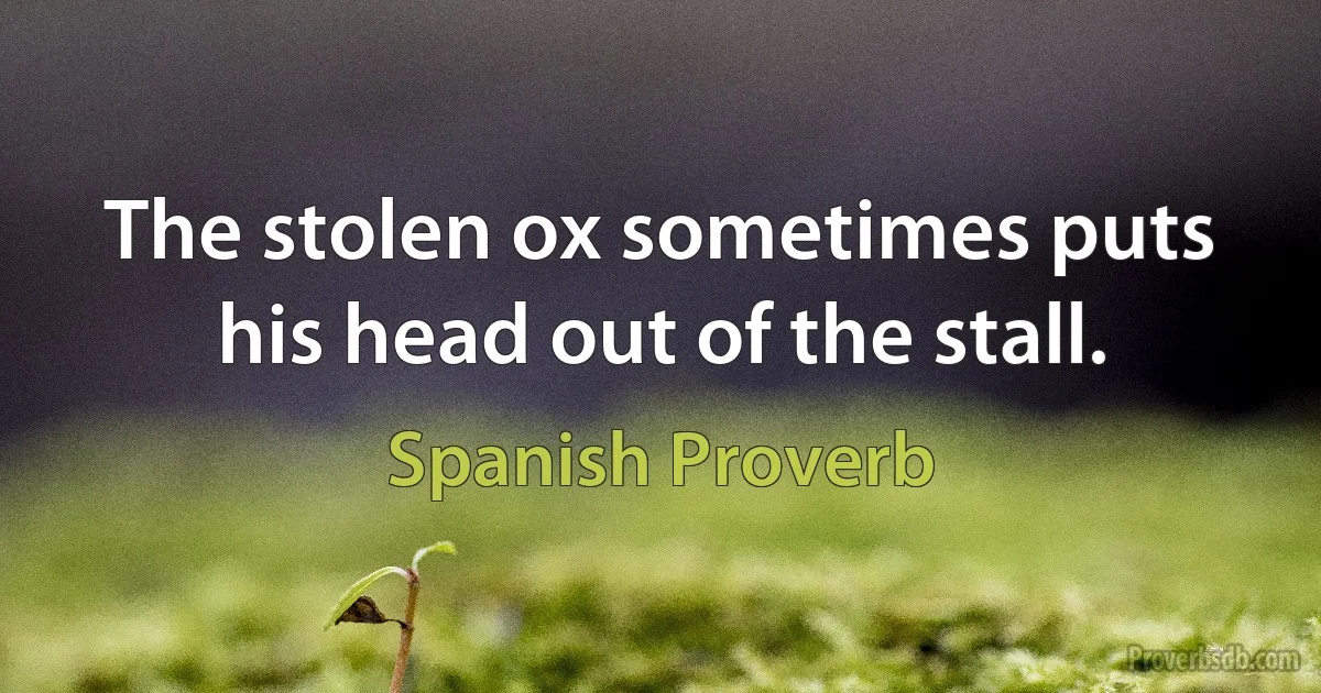 The stolen ox sometimes puts his head out of the stall. (Spanish Proverb)