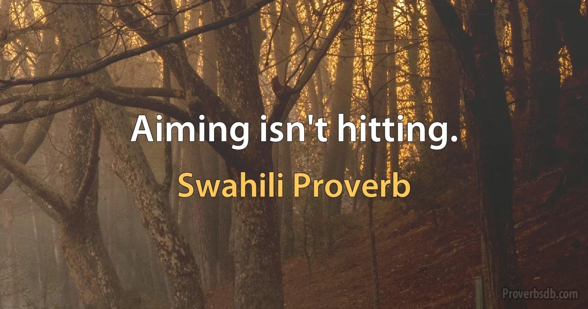 Aiming isn't hitting. (Swahili Proverb)