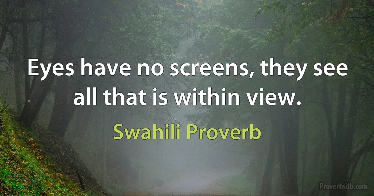 Eyes have no screens, they see all that is within view. (Swahili Proverb)