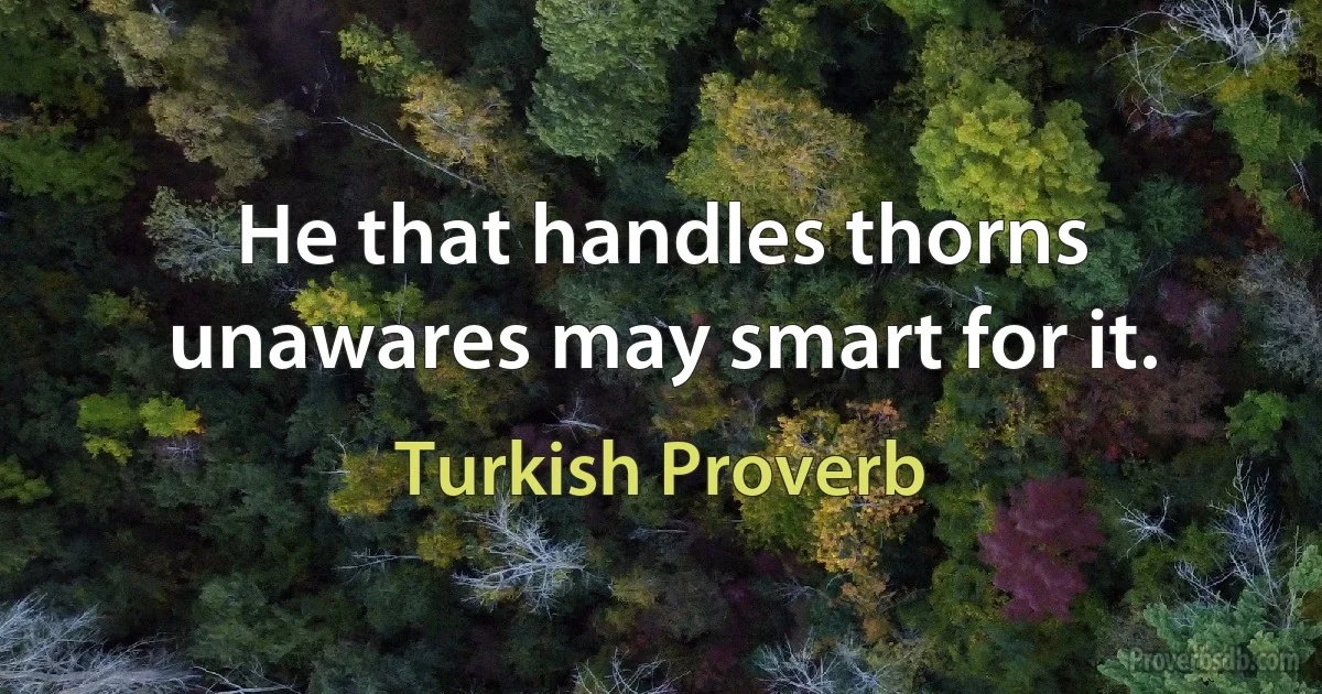 He that handles thorns unawares may smart for it. (Turkish Proverb)