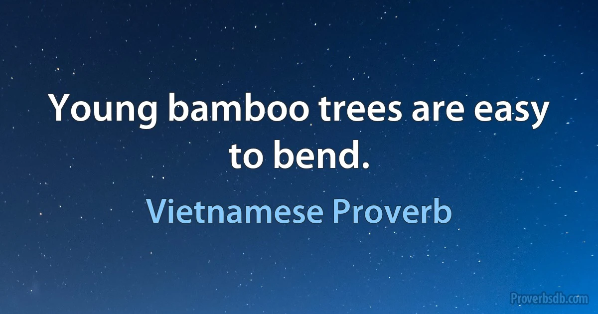 Young bamboo trees are easy to bend. (Vietnamese Proverb)