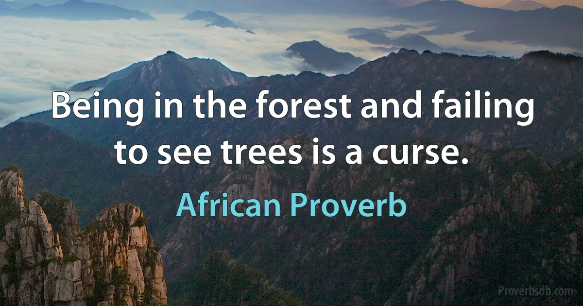 Being in the forest and failing to see trees is a curse. (African Proverb)