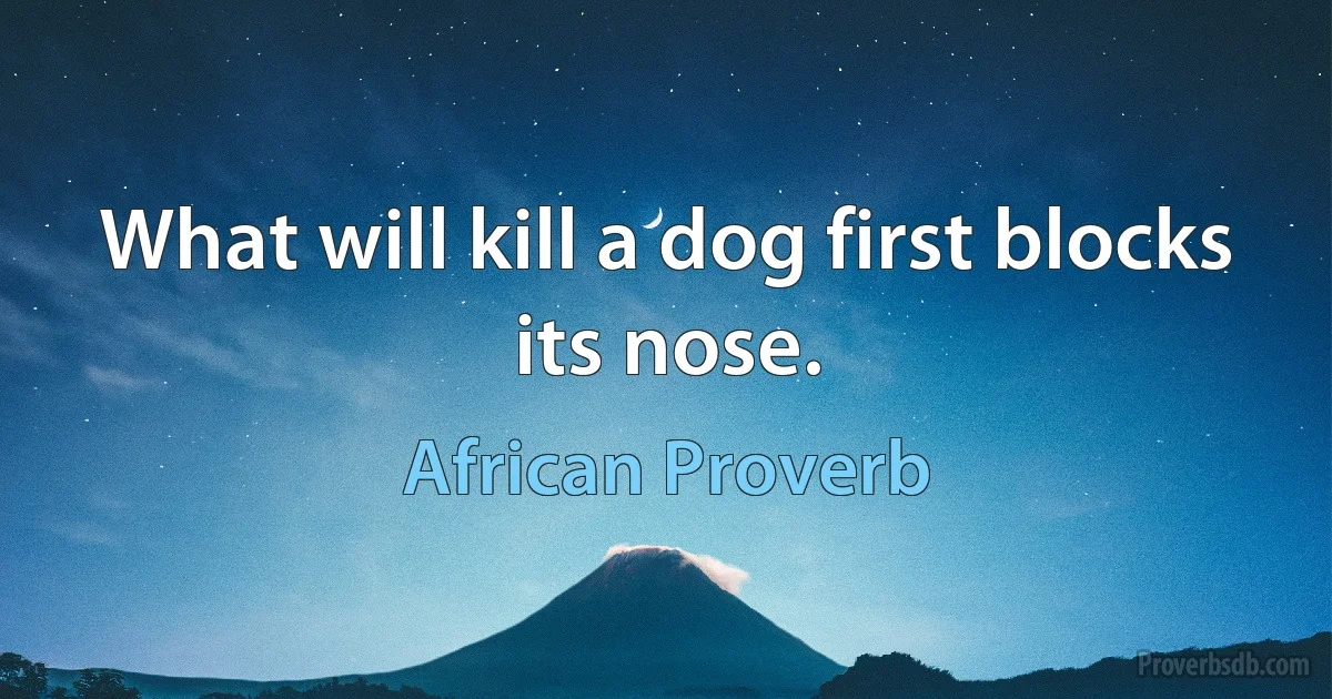 What will kill a dog first blocks its nose. (African Proverb)