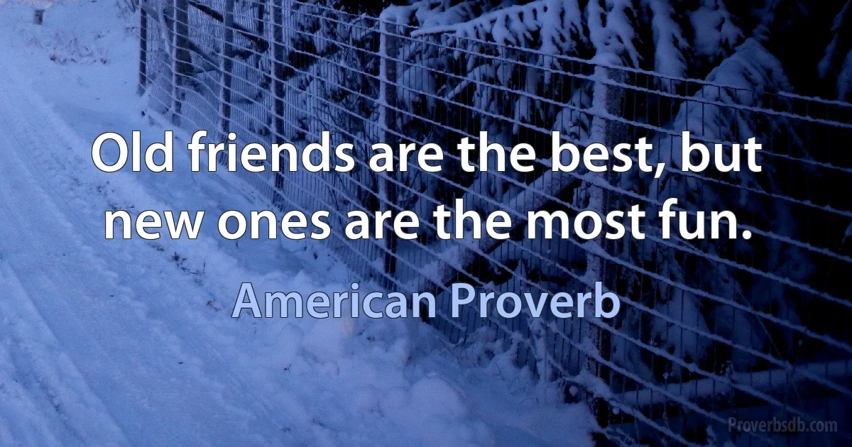 Old friends are the best, but new ones are the most fun. (American Proverb)