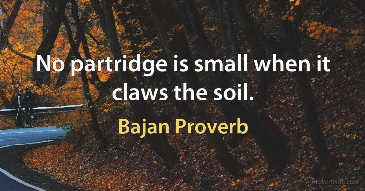 No partridge is small when it claws the soil. (Bajan Proverb)