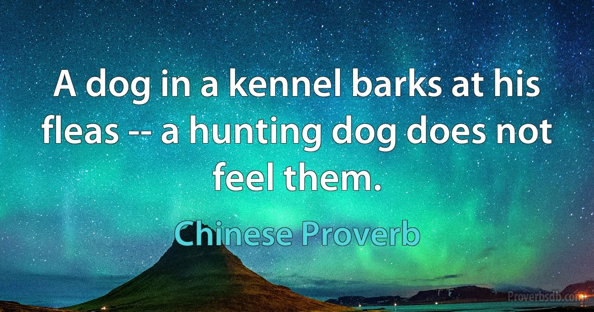 A dog in a kennel barks at his fleas -- a hunting dog does not feel them. (Chinese Proverb)