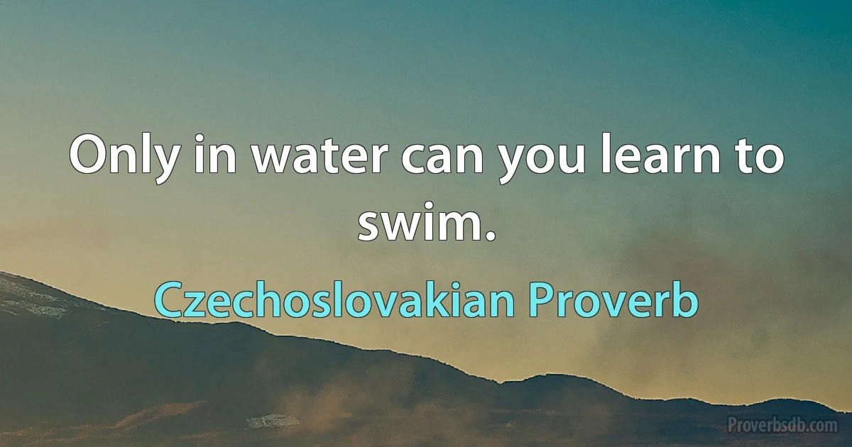 Only in water can you learn to swim. (Czechoslovakian Proverb)